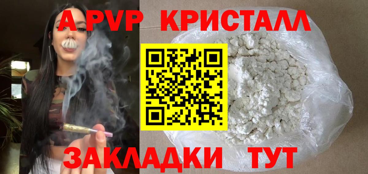 Альфа ПВП СК КРИС Североморск