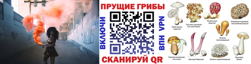 Галлюциногенные грибы MAGIC MUSHROOMS  Североморск 
