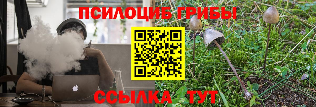Галлюциногенные грибы Cubensis Североморск