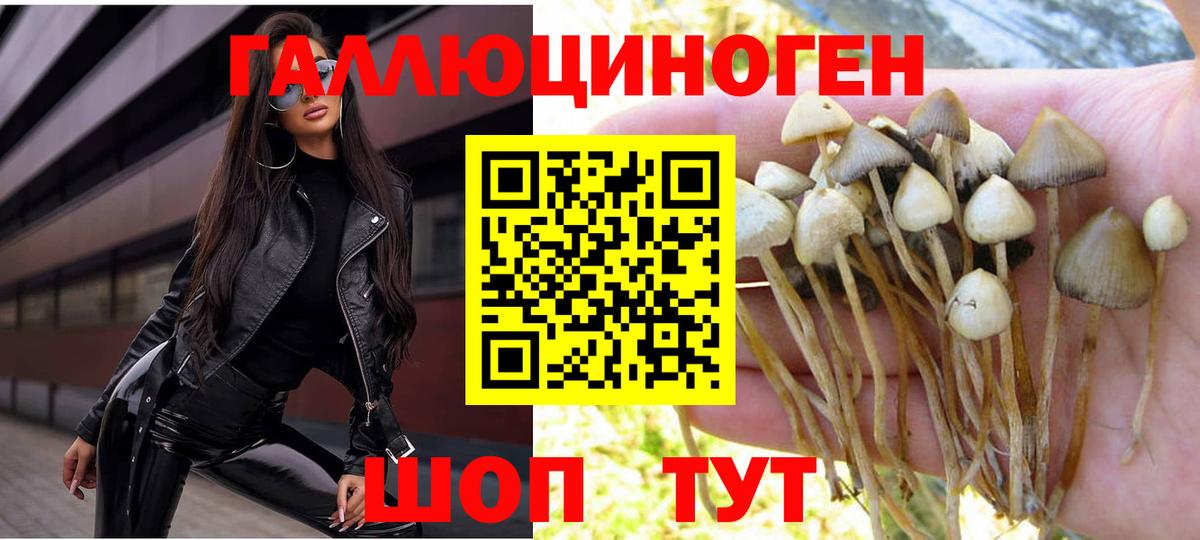 Галлюциногенные грибы прущие грибы  что такое наркотик  Североморск  Псилоцибиновые грибы мухоморы 